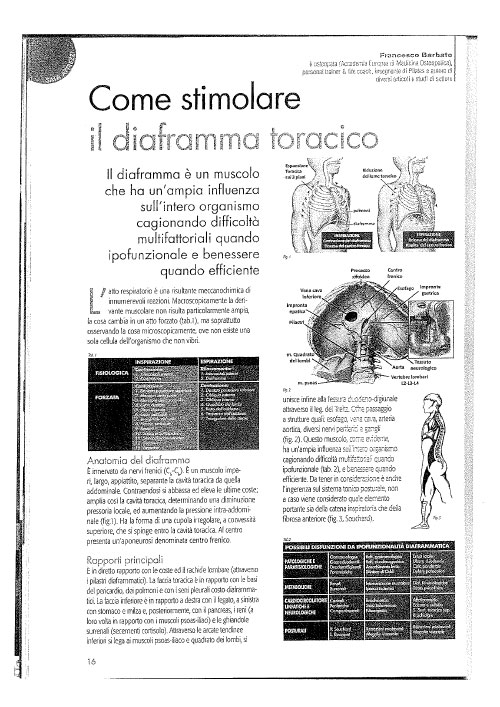 Come-stimolare il diaframma toracico