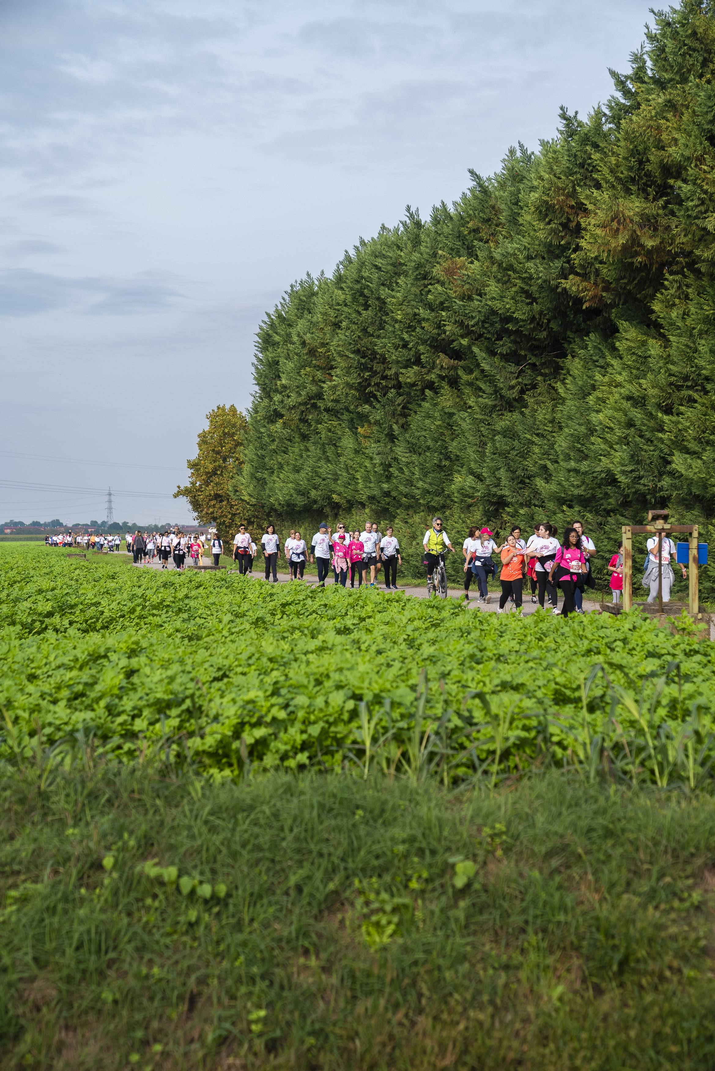 La-Corsa-in-Rosa-2024-DSC03175