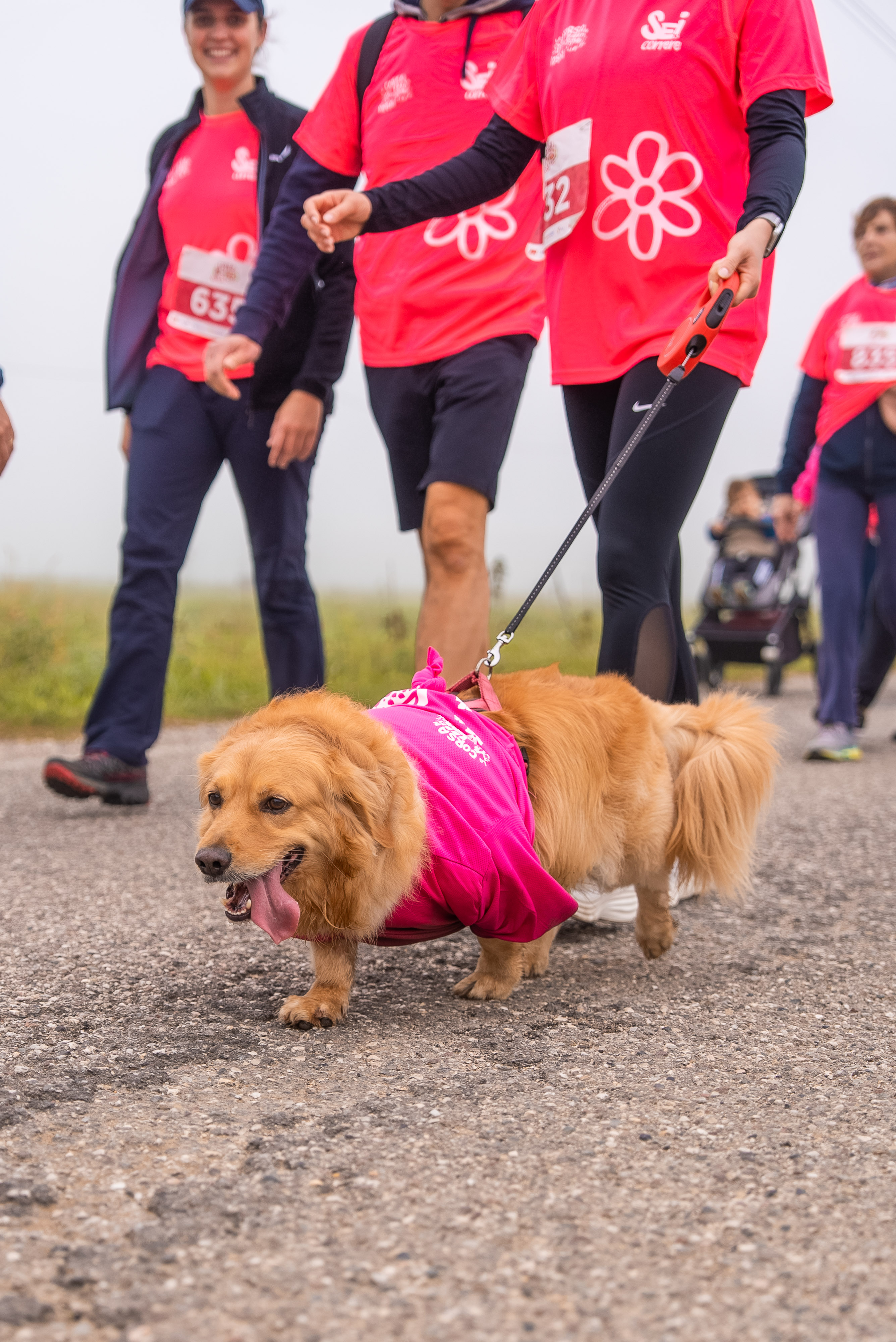 La-Corsa-in-Rosa-2025_084