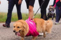 la-Corsa-in-Rosa-2025-112-scaled